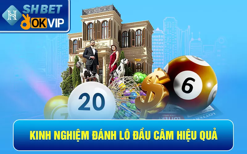 Chia sẻ kinh nghiệm đánh lô đầu câm từ cao thủ hiệu quả 99% 3 Kinh nghiệm đánh lô đầu câm hiệu quả